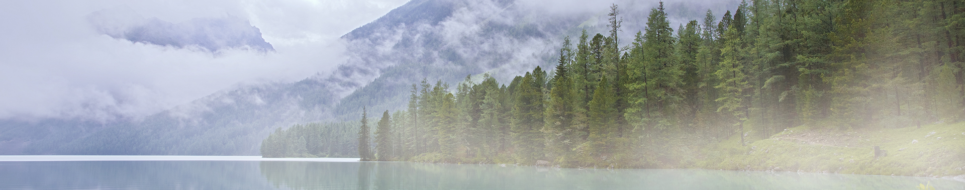 Modern Commitment - Forest and lake with clouds rolling in