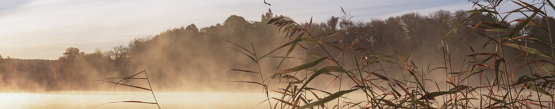 Wellspring Center of Counseling Services - Steam rising from lake at sunrise