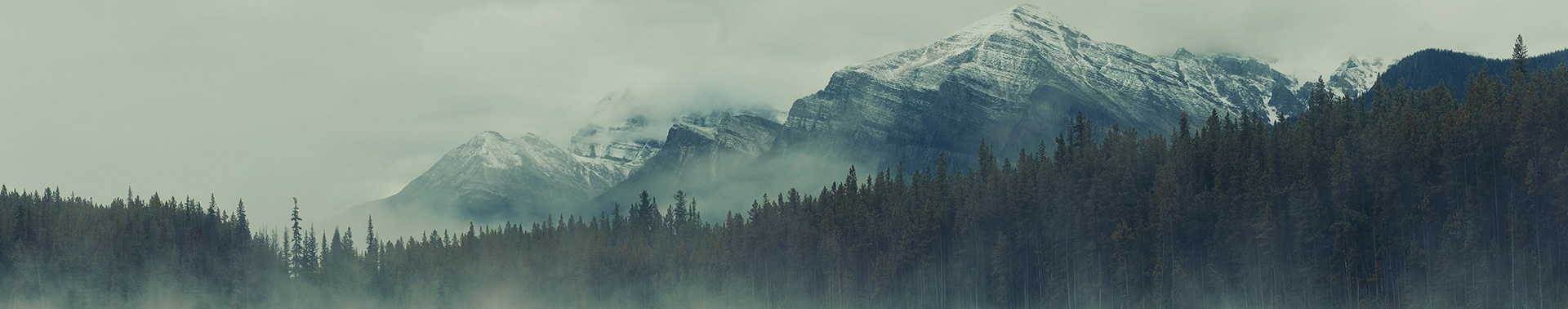 Why Wellspring - trees and mountains in the evening