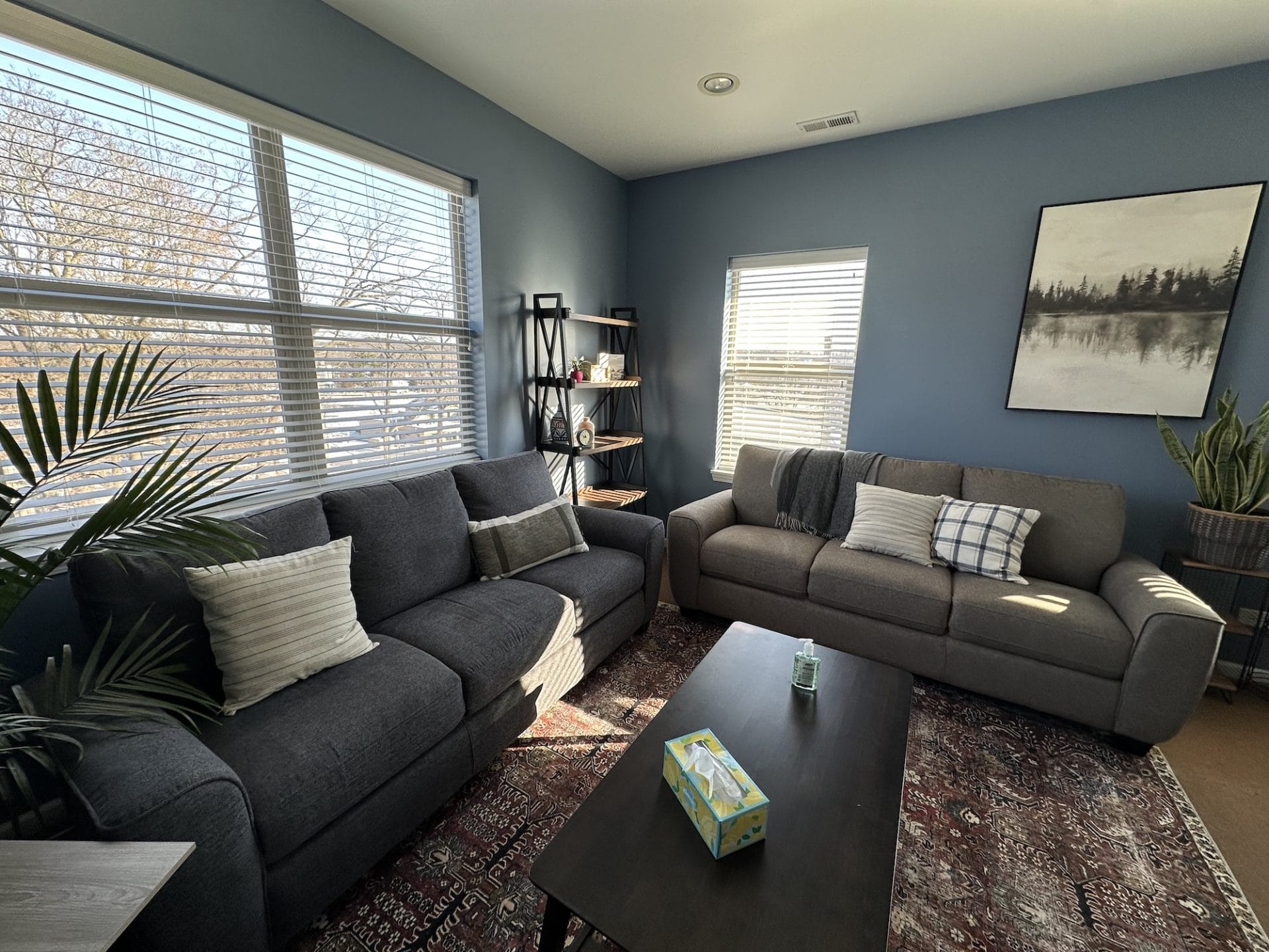 Cozy therapy space with gray sofas, patterned rug, decorative pillows, large windows, indoor plants, and calming artwork, designed for client comfort and peace.