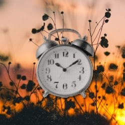 clock photoshopped onto a prairie field
